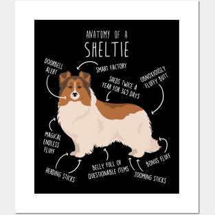 Color Headed White Sheltie Shetland Sheepdog Anatomy Posters and Art